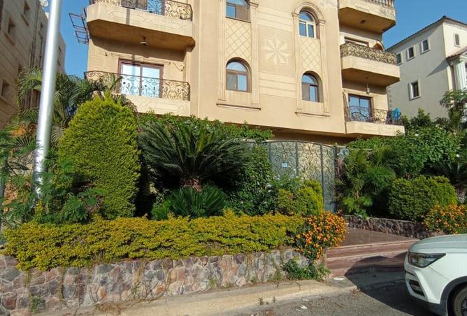 53734773 - Property Image 3