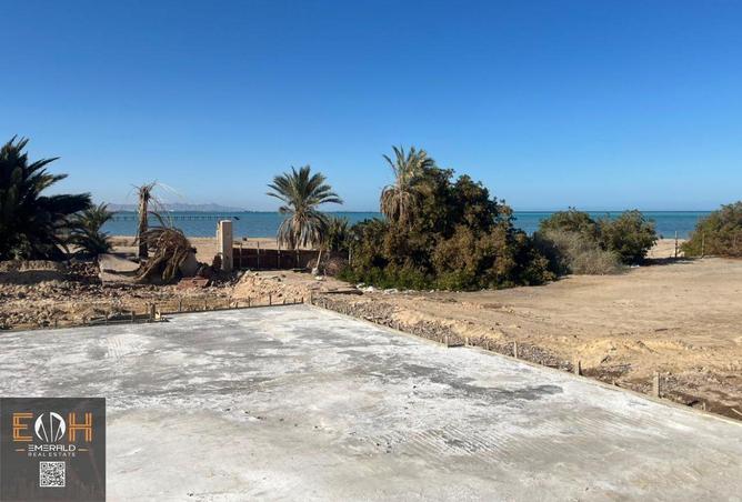 61695467 - صورة العقار 3