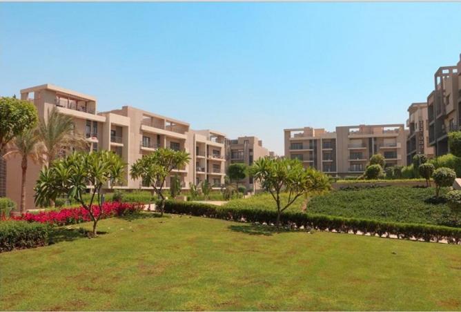 64137850 - صورة العقار 2