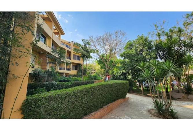 71911519 - الصورة الرئيسية للعقار