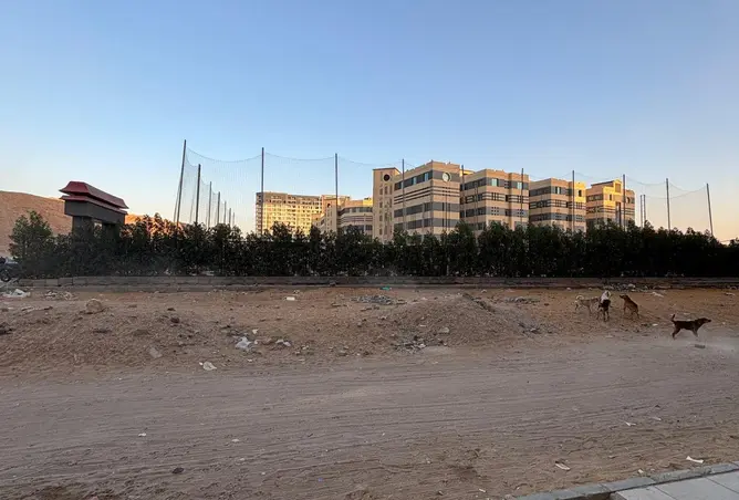86695738 - صورة العقار 3