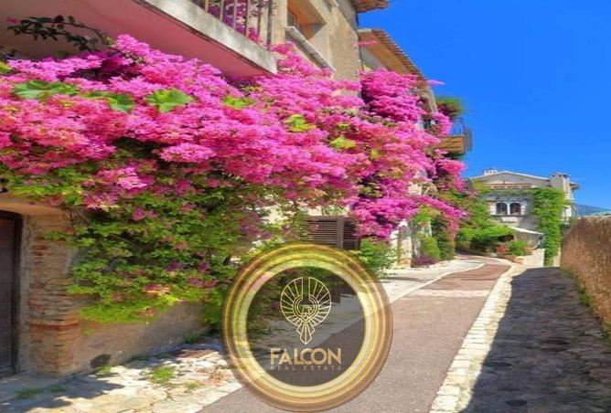 58251041 - Property Image 3