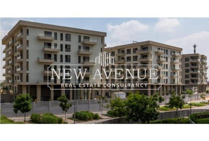 51159084 - صورة العقار 3