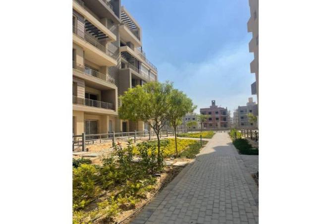 54234432 - Property Image 3