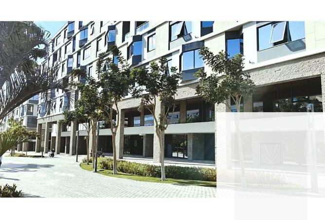 64893610 - Property Image 3