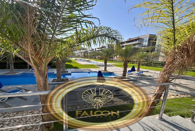 8623825 - Property Image 3