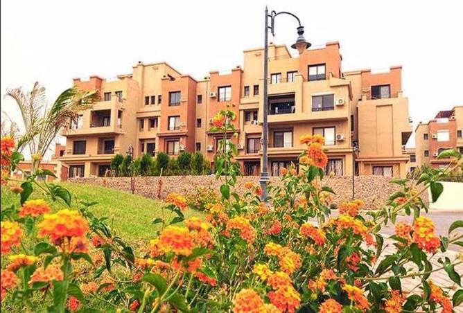 68535878 - صورة العقار 2