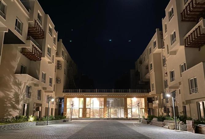 57992954 - Property Image 3