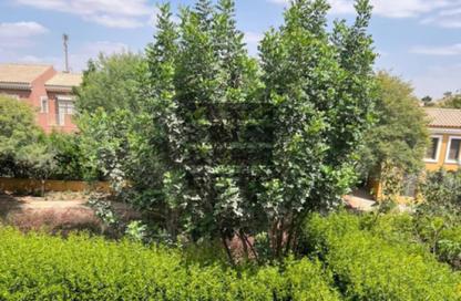 Townhouse - 3 Bedrooms - 3 Bathrooms for sale in Mivida - 5th Settlement Compounds - The 5th Settlement - New Cairo City - Cairo