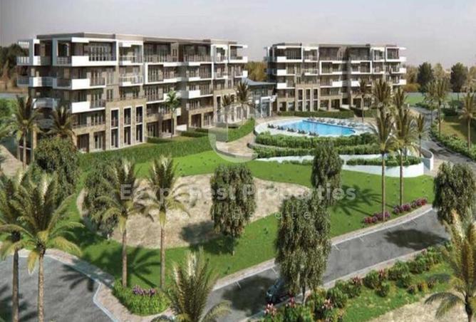 63397664 - Property Image 3