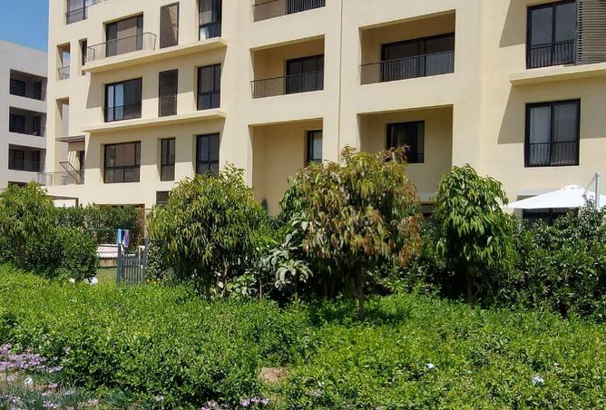 54233187 - صورة العقار 3