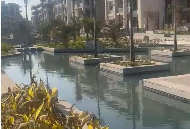 54502323 - صورة العقار 3