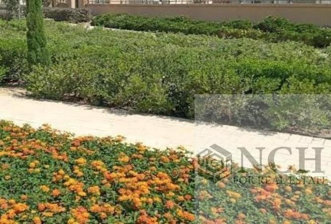 76236681 - صورة العقار 3
