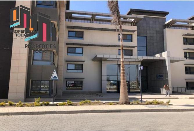 62896029 - صورة العقار 2