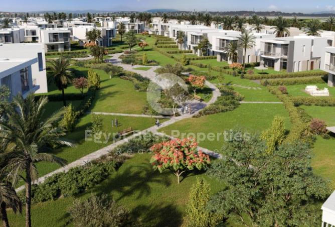 91851702 - الصورة الرئيسية للعقار