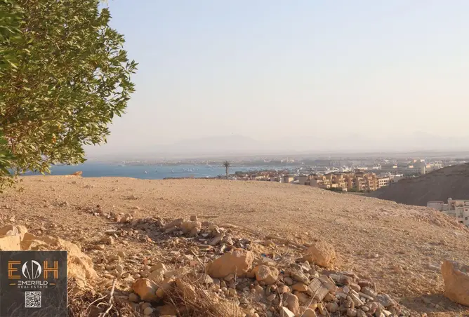 118039699 - صورة العقار 2