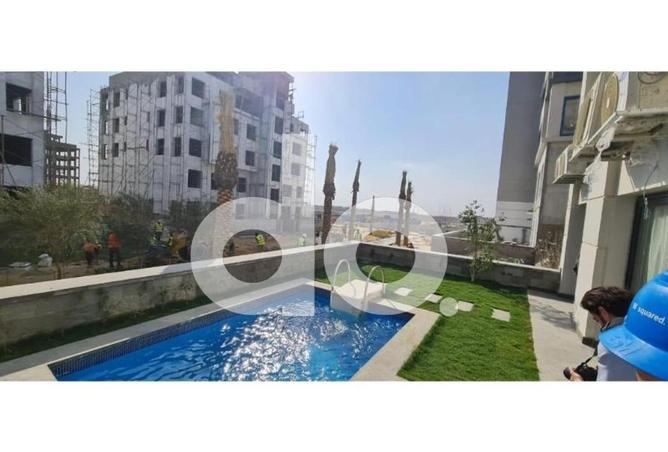 58245327 - Property Image 3