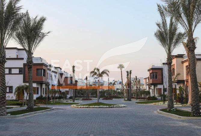 55001359 - صورة العقار 3