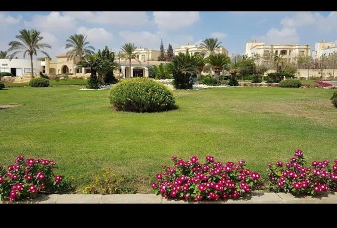 84786612 - Property Image 3