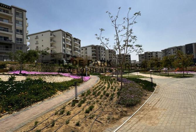 81311317 - Property Image 3