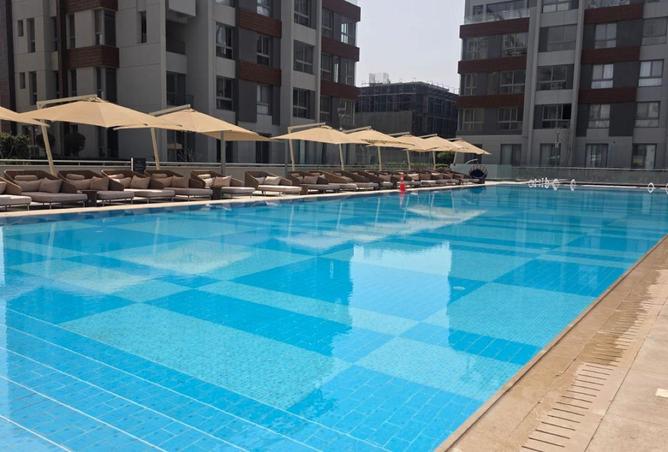 74598812 - Property Image 3