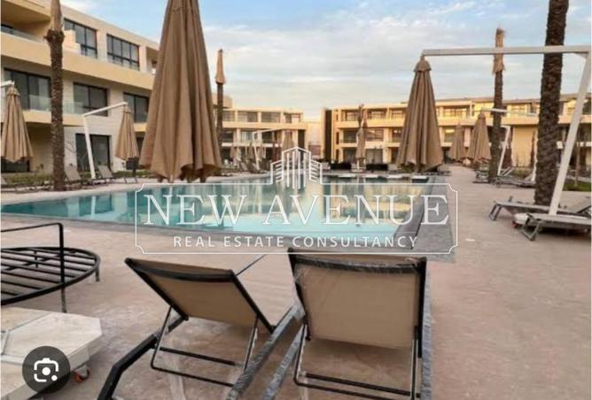 66166529 - Property Image 2