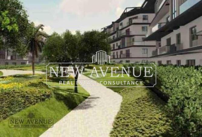 57745861 - Property Image 3