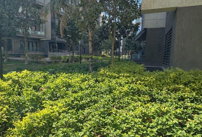 8593447 - Property Image 3