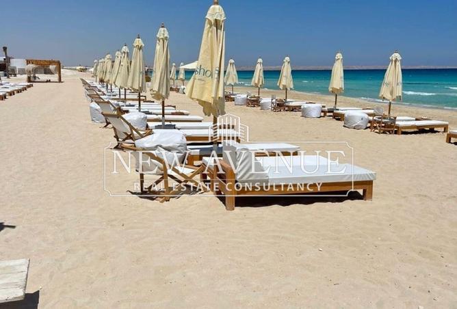 8695994 - Property Image 3