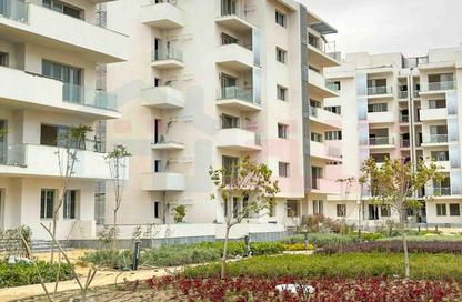 Apartment - 2 Bedrooms - 2 Bathrooms for sale in Downtown - New Alamein City - Al Alamein - North Coast