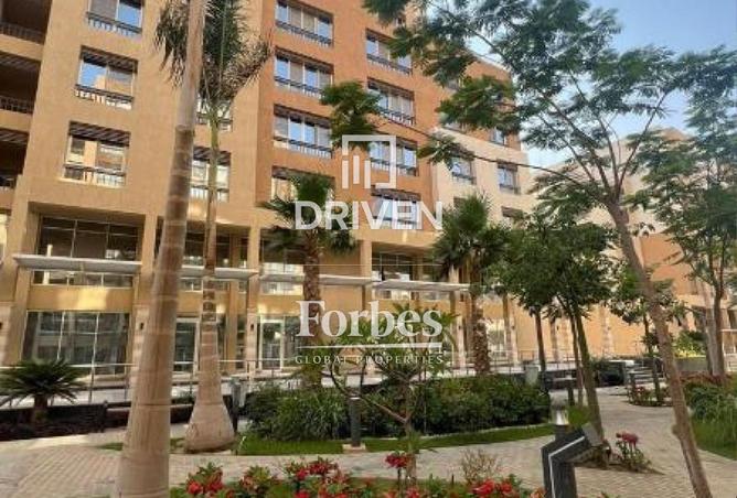 60960393 - Property Image 3