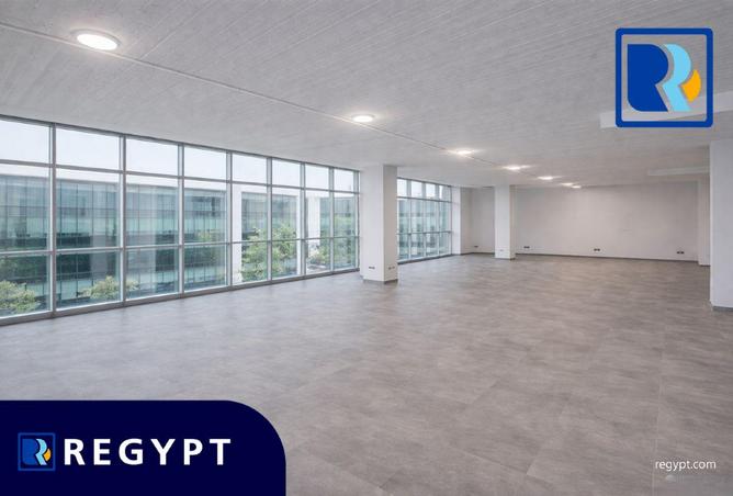 61441103 - Property Image 3