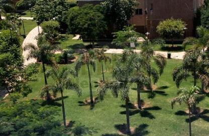 Apartment - 2 Bedrooms - 1 Bathroom for rent in B7 - Madinaty - Cairo