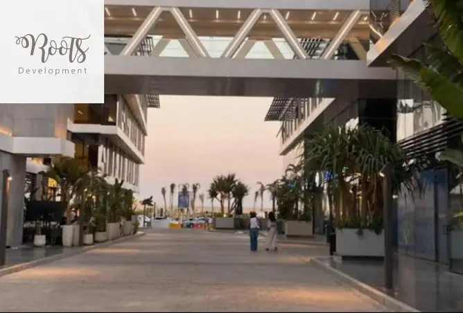 117536314 - Property Image 2
