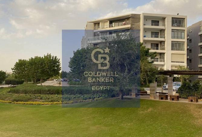 66684054 - Property Image 3