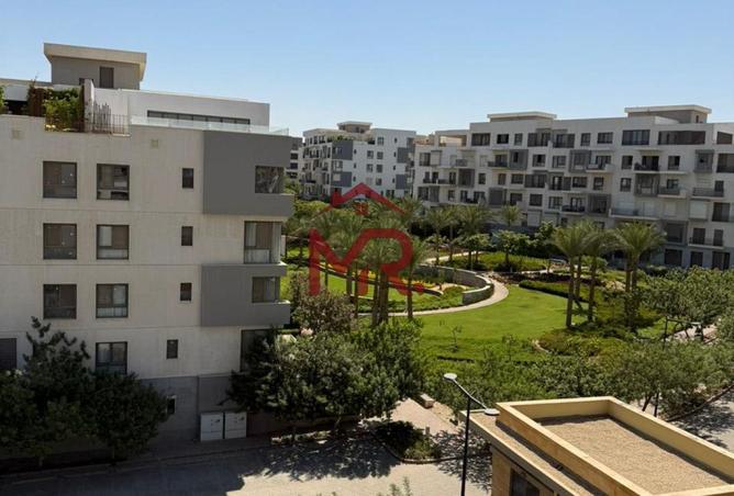 105455214 - Property Image 3
