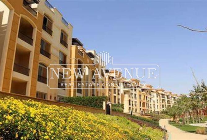 61446567 - Property Image 3