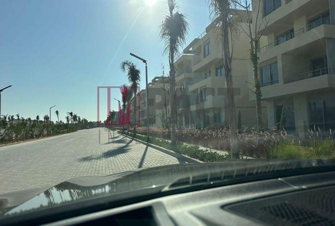 63145202 - Property Image 2