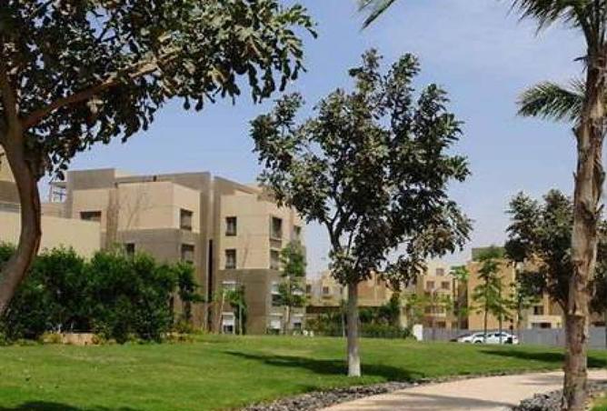 52453494 - صورة العقار 2