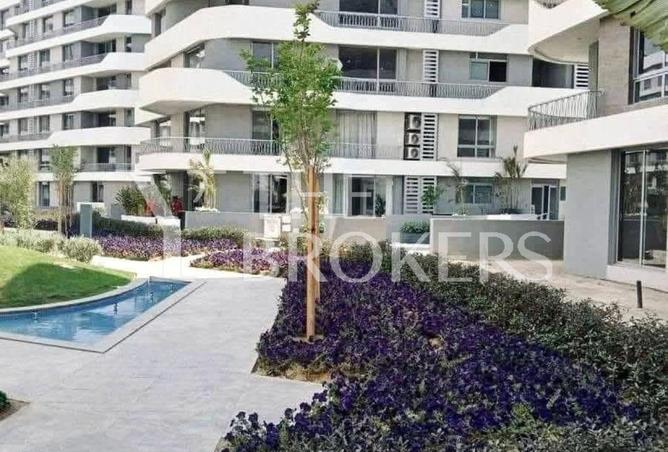 53725782 - Property Image 3