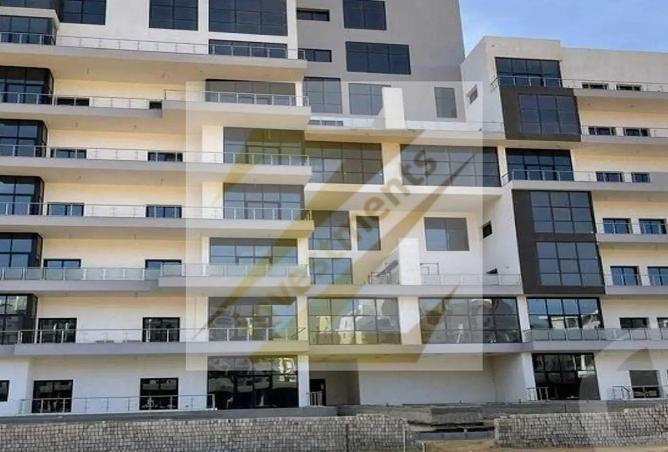 8617277 - Property Image 3