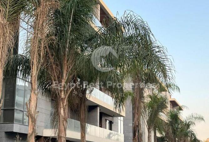 8636331 - Property Image 3