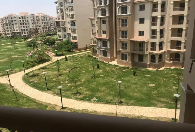 116233802 - Property Image 2