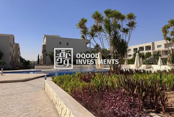 8669363 - Property Image 3