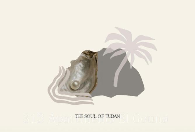 66949479 - صورة العقار 2