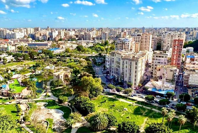 60234086 - Property Image 3