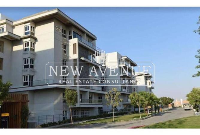 68526827 - Property Image 3