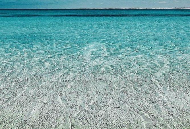 64907308 - Property Image 3