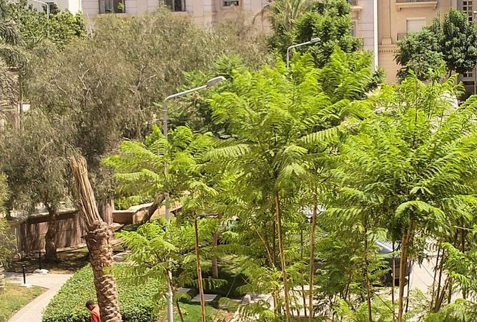 61200786 - صورة العقار 2