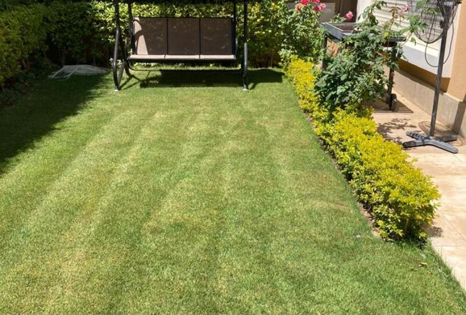 8567503 - Property Image 2